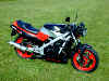 Rika De wits VFR400Z in prestine condition